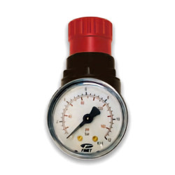 Pressure regulator with gauge F050
