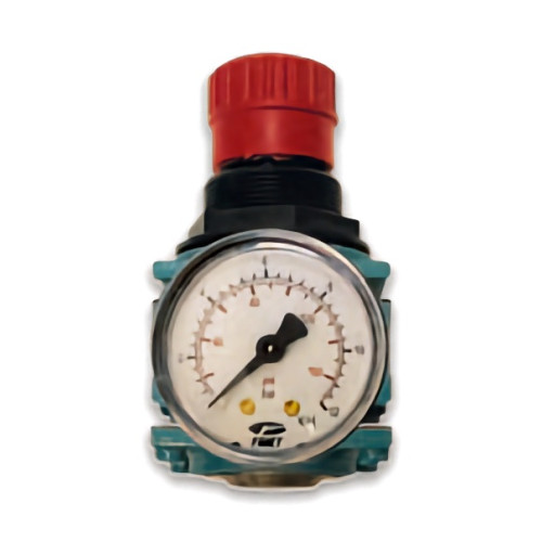 Pressure regulator with gauge F080