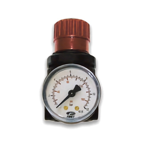 Pressure regulator with gauge F100