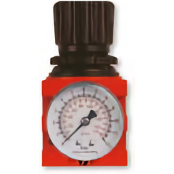 Pressure regulator with gauge VEPA F450