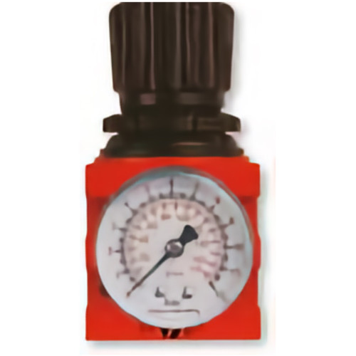 Pressure regulator with gauge VEPA F450