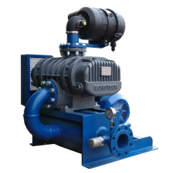 Low pressure roots blower | LT-065