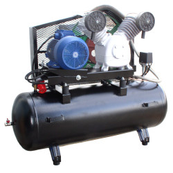 Piston compressor, oilless | FL 5,5-650-200
