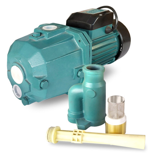 Water pump TDW 1M-100